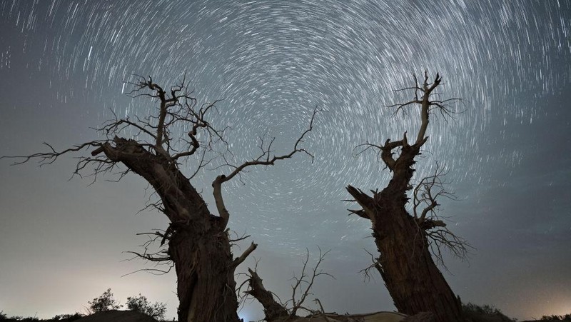 LUNTAI, CHINA - JUNE 21: Long exposure of starlight trails above the dead Euphrates Poplar trees at the desert area on June 21, 2022 in Luntai County, Bayingolin Mongol Autonomous Prefecture, Xinjiang Uygur Autonomous Region of China. (Photo by Que Hure/VCG via Getty Images)