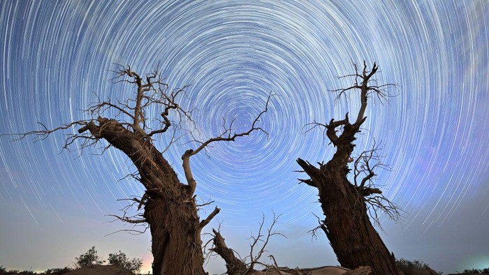 LUNTAI, CHINA - JUNE 21: Long exposure of starlight trails above the dead Euphrates Poplar trees at the desert area on June 21, 2022 in Luntai County, Bayingolin Mongol Autonomous Prefecture, Xinjiang Uygur Autonomous Region of China. (Photo by Que Hure/VCG via Getty Images)
