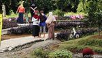 Berlibur Sambil Belajar Aneka Tanaman Buah di Bogor