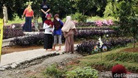 Tiga spot andalan taman yang terletak di Pamijahan, Bogor ini adalah taman bunga, tabulampot (buah), hingga kawasan tanaman herbal (apotik) yang dapat menjadi media belajar. Pengunjung yang gemar mengeksplorasi hewan juga akan bertemu dan diperbolehkan berinteraksi dengan ayam kate, ayam mutiara, merpati kipas, dan kelinci di mini zoo milik Bogor Fruit Garden.
