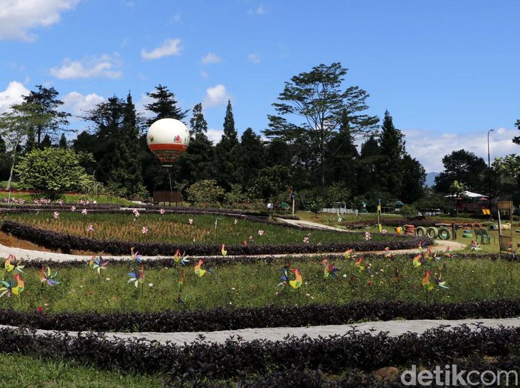 Berlibur Sambil Belajar Aneka Tanaman Buah di Bogor