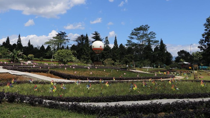 Bogor Fruit Garden kini bisa menjadi pilihan baru buat masyarakat yang ingin menikmati suasana ijo-ijo sambil mendapatkan edukasi tentang buah dan tanaman.