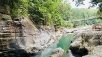 Tempatnya sejuk karena dikelilingi tumbuhan hijau.