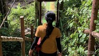 Trekking menuju air terjun.