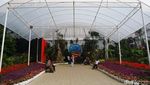 Menikmati Taman Bunga dan Bangunan Ala Kremlin di DCastello, Subang