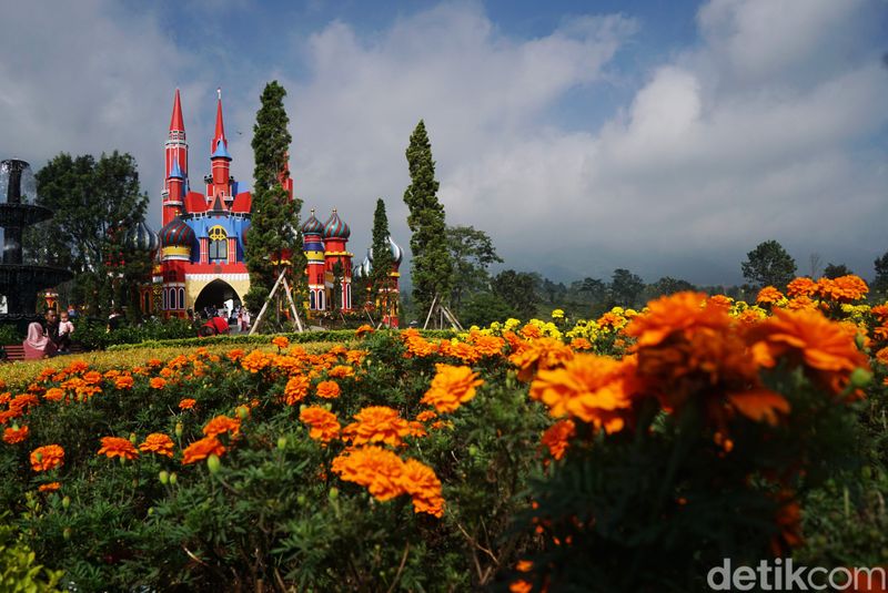 Florawisata D'Castello Ciater berlokasi di kecamatan Ciater, kabupaten Subang.