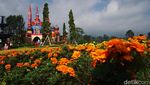 Menikmati Taman Bunga dan Bangunan Ala Kremlin di DCastello, Subang
