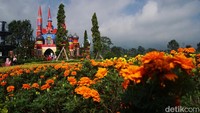 Florawisata DCastello Ciater beralamat di Kecamatan Ciater, Kabupaten Subang, Jawa Barat. Tempat wisata yang satu ini berada tepat di pinggir jalan provinsi. Karena letaknya yang strategis, membuat Florawisata DCastello jadi pilihan.