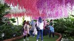 Menikmati Taman Bunga dan Bangunan Ala Kremlin di DCastello, Subang