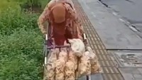 Potret nenek 110 tahun ini mungkin bakal bikin kamu haru. Pasalnya di tengah keterbatasan fisiknya yang sudah harus berjalan pakai tongkat, ia masih semangat jualan kerupuk. Lokasi nenek ini ada di Yogyakarta. Foto: Twitter budakbaonk_r 