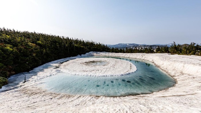 a dragon eye created by the nature.