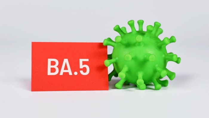Ilustrasi virus covid-19 omicron BA.5 Ilustrasi virus covid-19 omicron BA.5