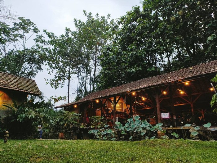 Ada di Bogor! 5 Kafe di Tengah Kebun Ini Cocok Buat Ngadem