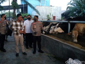 Jelang Idul Adha, Kapolda Pastikan Hewan Kurban di Sumut Sehat