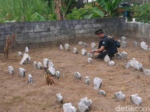 Mengunjungi Kompleks Pemakaman Mr X di Tulungagung