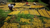 Pekerja menjemur kerupuk mi di Desa Harjosari, Kabupaten Tegal, Jawa Tengah, Kamis (7/7/2022).