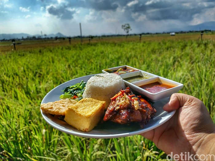 Makanan Nasi Liwet pemandangan sawah