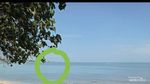 Indahnya Lautan Tanjung Kodok, Bikin Banyak Bersyukur Pada Allah