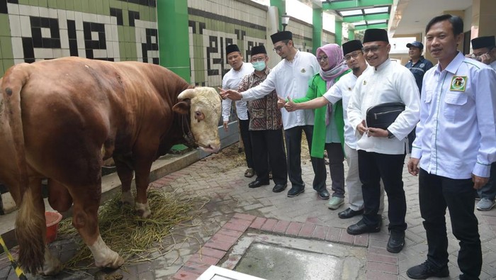 PPP Gandeng Ormas Islam Bagikan Hewan Kurban