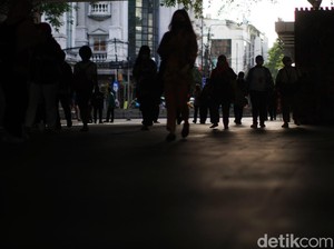 5 Provinsi Teratas Penyumbang Kasus Baru Raja Singa, Bali-DKI Termasuk