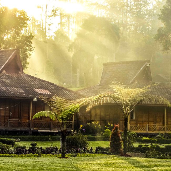 Agrowisata Teh Unit Rancabali - Ciwidey