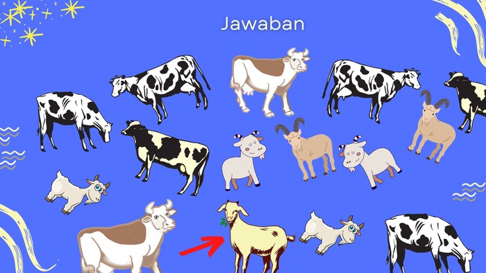 asah otak detikhealth