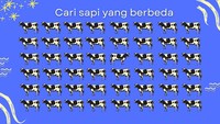 Bisa temukan sapi yang berbeda?
