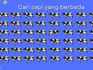 Tebak-tebakan Jelang Idul Adha, Bisa Cari Sapi yang Berbeda?