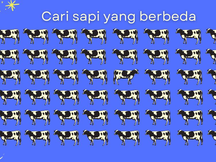 Tebak-tebakan Jelang Idul Adha, Bisa Cari Sapi yang Berbeda?