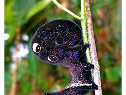 Deretan Hewan Unik dan Langka Bikin Takjub Mata, Pernah Melihatnya?