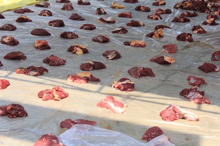 Hukum makan daging hewan kurban sendiri