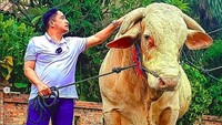 Wisanggeni punya badan yang sangat kekar. Foto: dok. Instagram Irfan Hakim