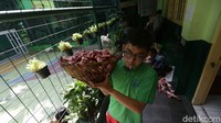 Bagaimana menurut Anda?
