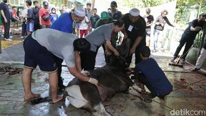 Jemaah Muhammadiyah Tebet Gelar Penyembelihan Hewan Kurban