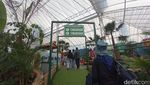 Potret Little Korea di Subang