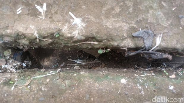 Lokasi tempat penampungan air yang diduga tercemr limbah darah dari aktivitas Pasar Bingung