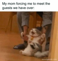 Meme introvert