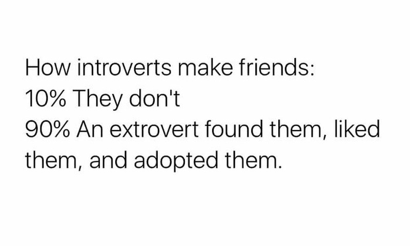 Meme introvert