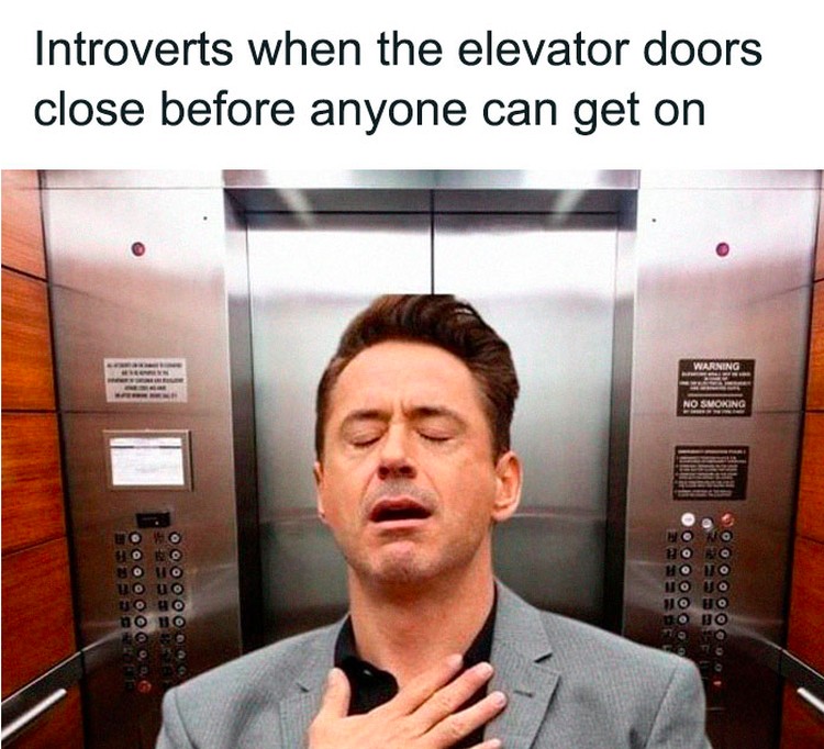 Meme introvert Meme introvert