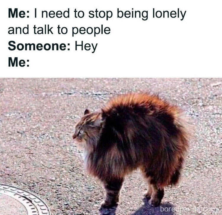 Meme introvert Meme introvert