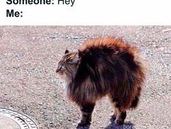 Selamat Hari Introvert Sedunia, Nih Meme Only Nolep Can Relate