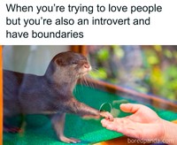 Meme introvert