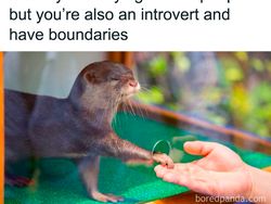Selamat Hari Introvert Sedunia, Nih Meme Only Nolep Can Relate