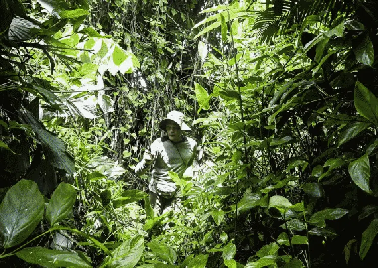 Mengenal Laskar Khusus Penjaga Si Cula Satu di Ujung Kulon