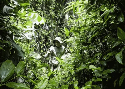 Mengenal Laskar Khusus Penjaga Si Cula Satu di Ujung Kulon