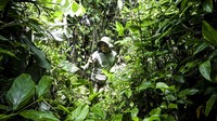 Dua bulan sekali mereka masuk hutan dan tinggal kurang lebih selama 10-15 hari untuk melakukan pemantauan Badak Jawa. Mereka menelusuri rimba hutan untuk melakukan pengecekan kamera jebak (camera trap) yang dipasang di beberapa titik tertentu. Selain itu, tujuh orang itu juga mengamati jejak badak serta mencatat pergerakan dan perkembangannya.