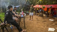 Badak Jawa yang tersisa 75 ekor tersebut merupakan satwa langka yang masuk kategori 25 spesies prioritas utama konservasi Pemerintah Indonesia. IUCN memasukkan spesies Badak Jawa ke dalam status Critically Endangered dan CITES mengkategorikannya ke dalam Appendix I.