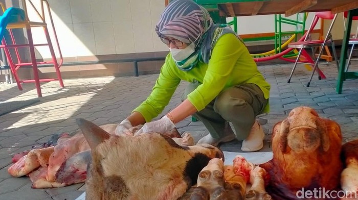 Pemeriksaan daging sapi oleh tim Dinas Ketahanan Pangan dan Pertanian di Perumda Gergunung