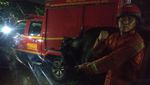 Potret Evakuasi Sapi 1 Ton Terperosok Got di Depan Rumah Wapres