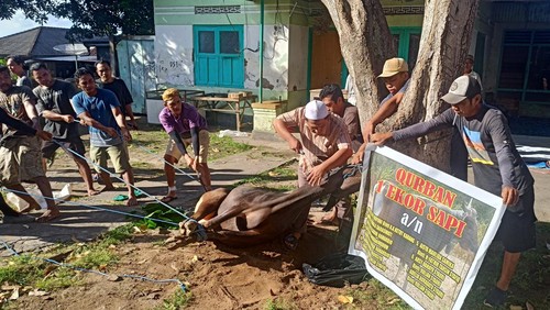 Suasana pemotongan hewan kurban yang ada di Lingkungan Dangin Sema, Karangasem, Sabtu (9/7/2022)